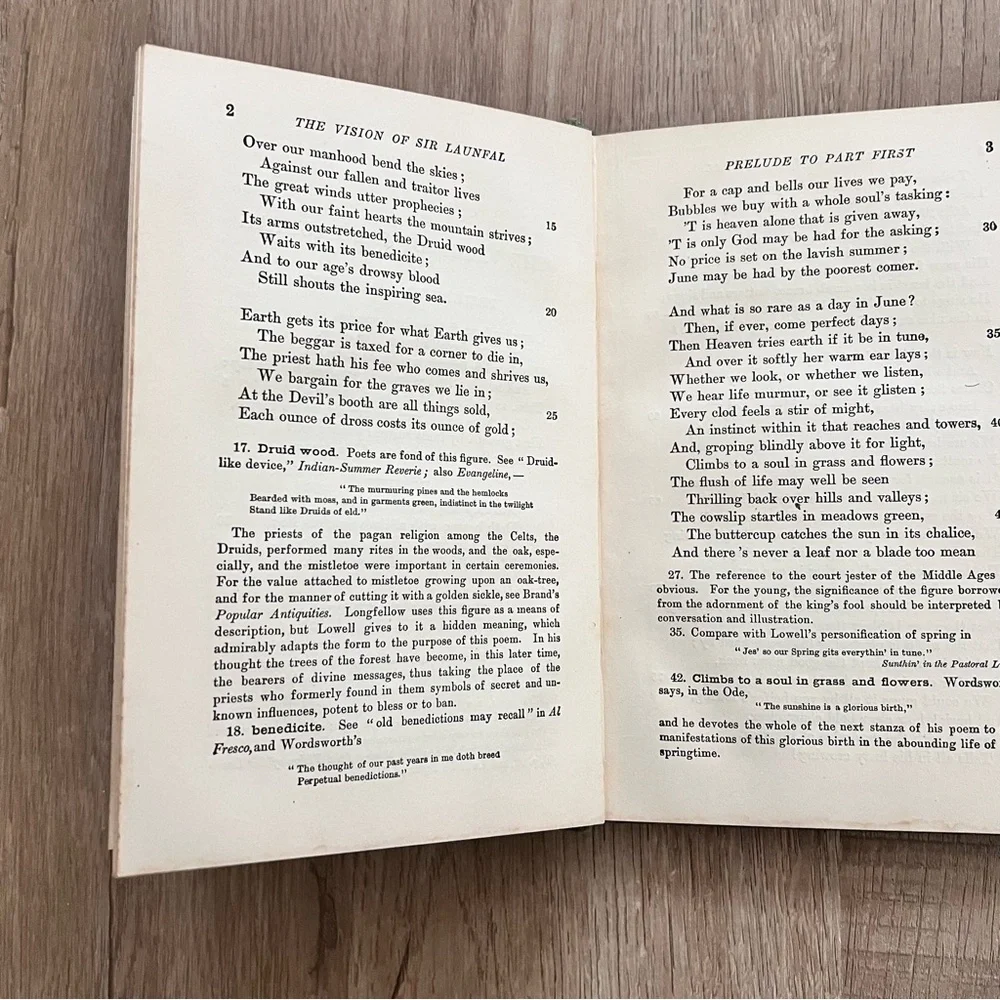 1905 The‎ Vision of Sir Launfal and Other Poems - Antique Illustrated Book